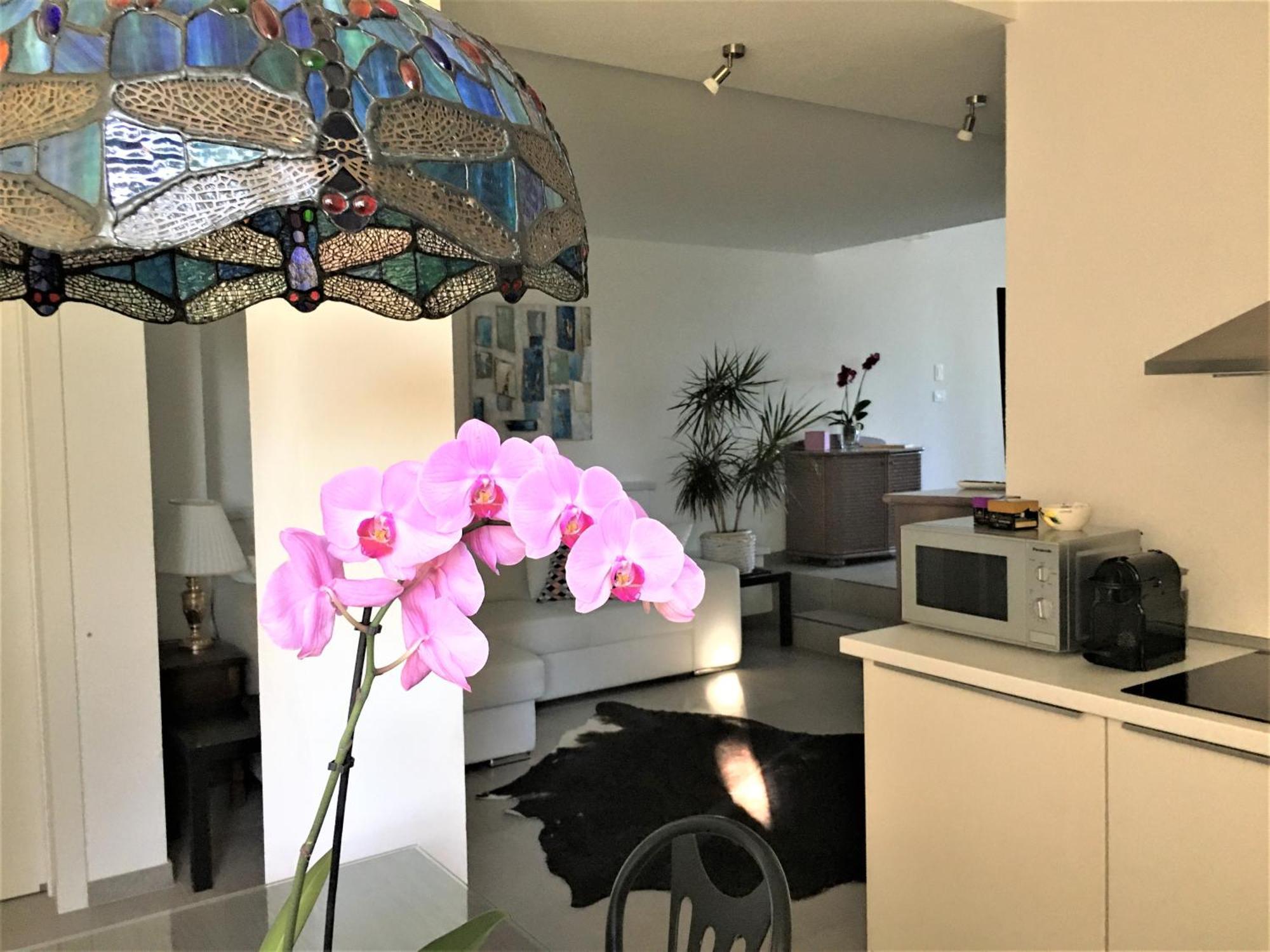 Agriturismob&B Loggia Degli Artisti Palazzolo dello Stella المظهر الخارجي الصورة