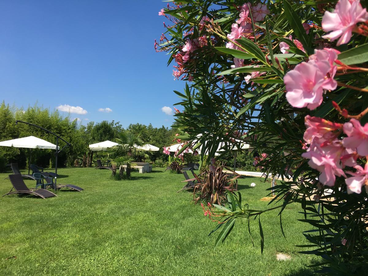 Agriturismob&B Loggia Degli Artisti Palazzolo dello Stella المظهر الخارجي الصورة