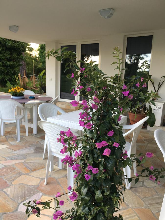 Agriturismob&B Loggia Degli Artisti Palazzolo dello Stella المظهر الخارجي الصورة